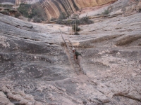 Climbing the ladder out of the canyon